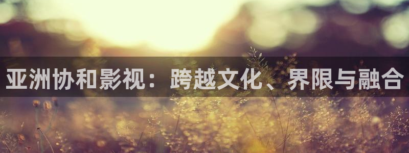 我的漂亮朋友电视剧免费观看策驰影院