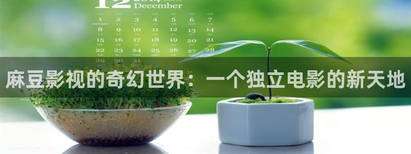 大明风华免费策驰影院