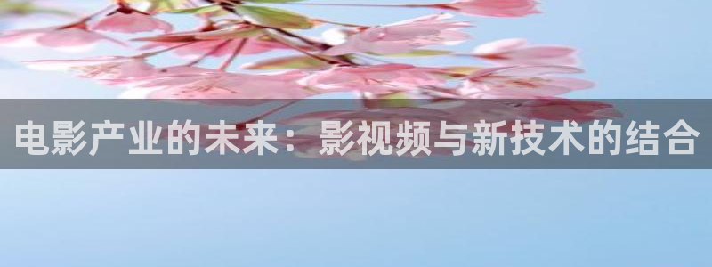 清平乐在线观看策驰影院